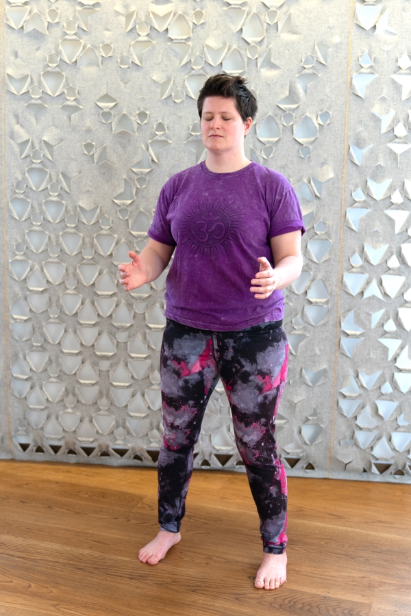 Optimized-wlbc13star